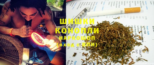 apvp Медногорск