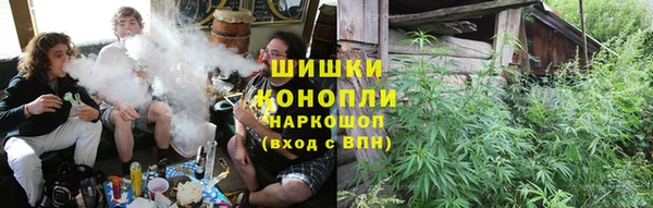 молекула духа Мегион