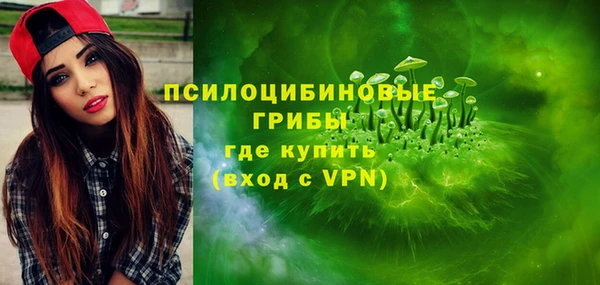 apvp Медногорск