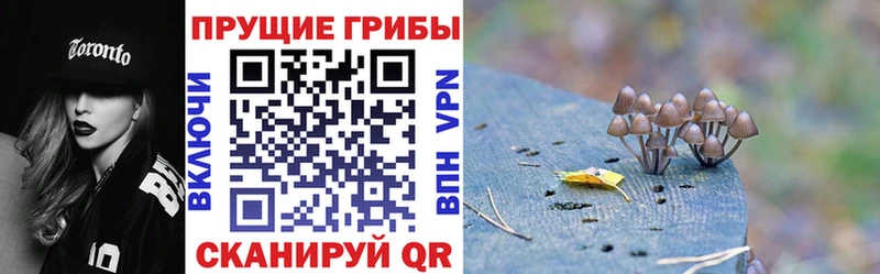 закладка  Зуевка  Галлюциногенные грибы ЛСД 
